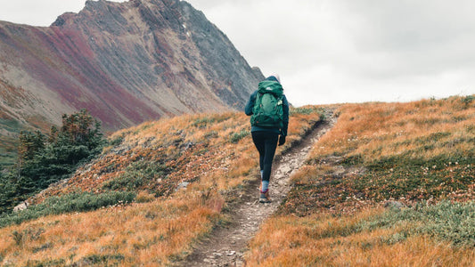 5 naturalnych sposobów na odporność jesienią